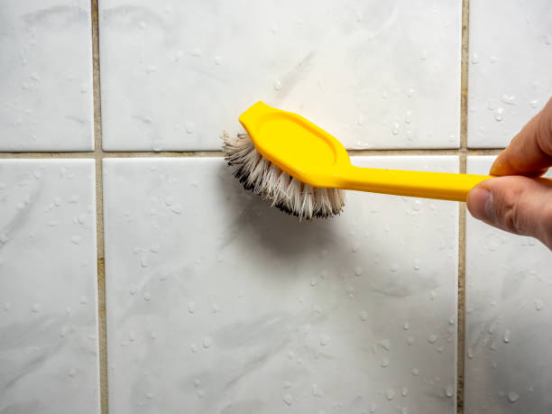 Best Emergency Mold Removal  in College Park, MD